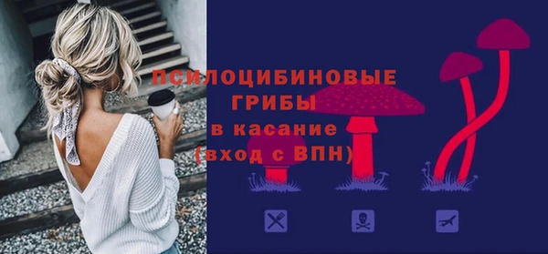 стаф Беломорск