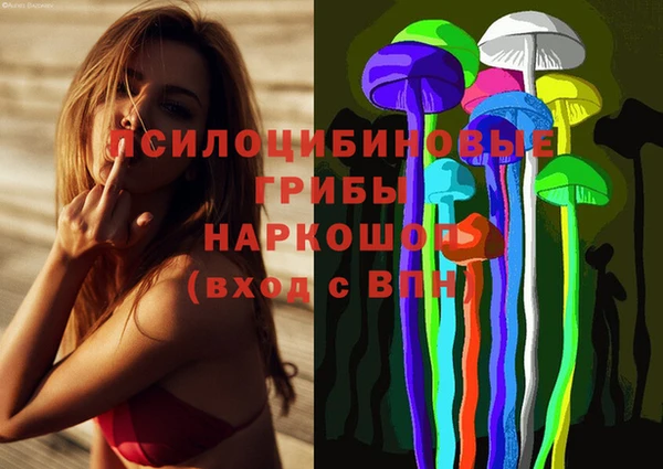 jwh Белокуриха