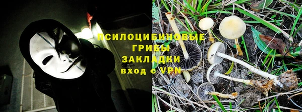стаф Беломорск