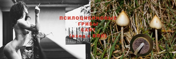 jwh Белокуриха