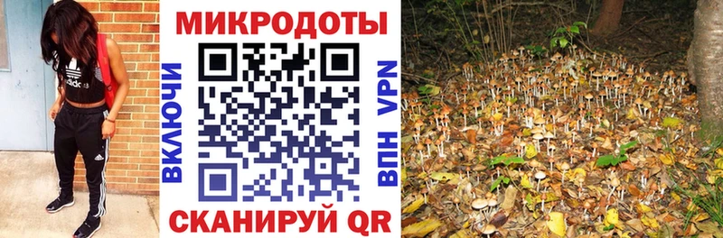 Галлюциногенные грибы Psilocybe  Купить  Алупка 